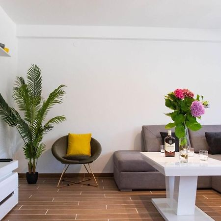 Apartament Campi D'Oro Kotor Zewnętrze zdjęcie