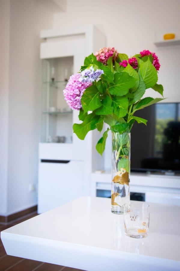 Apartament Campi D'Oro Kotor Zewnętrze zdjęcie